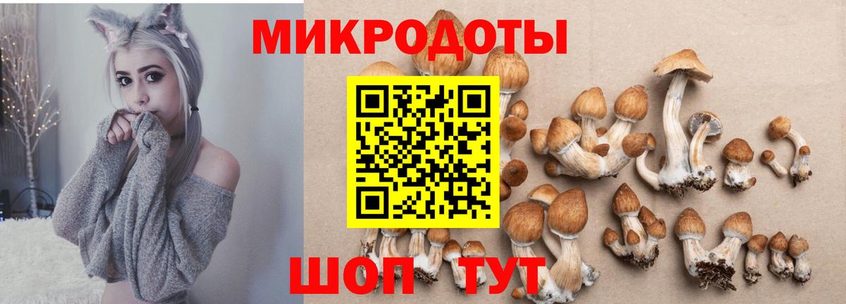 Псилоцибиновые грибы прущие грибы  Вход с VPN  Кубинка  Галлюциногенные грибы MAGIC MUSHROOMS 